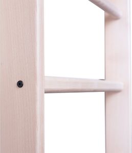 BenchK Drabinka gimnastyczna 220x67cm (830276) 6
