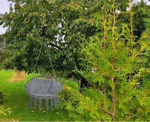 Saska Garden Hamak ażurowy fotel wiszący 80x60cm luxe z poduszką szary (1026954) 9
