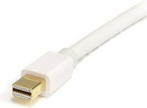 Kabel StarTech DisplayPort Mini - DisplayPort 2m biały (MDP2DPMM2MW) 2