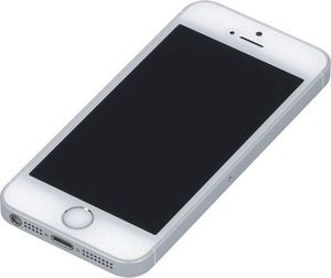 Smartfon poleasingowy Apple iPhone SE 2/32GB Srebrny Powystawowy 5