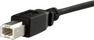Kabel USB StarTech USB-B - USB-B 0.3 m Czarny (USBPNLBFBM1) 3