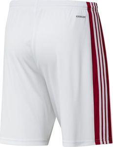 Adidas Spodenki adidas SQUADRA 21 Short GN5770 GN5770 biały M 2