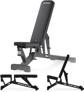 Zipro Pumpiron + Gumy Mini Band 2