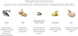 Josera Josera Adult Festival 12,5kg (50014785) + Miska podróżna 5