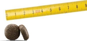 Josera Josera Adult Festival 12,5kg (50014785) + Miska podróżna 6