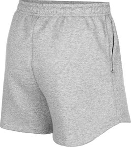 Nike Nike Park 20 Short CW6963-063 szary M 2