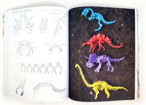3Doodler Book - Książka projektów 3D do długopisu 3Doodler (jęz. ang.) (3DR2BK) 5