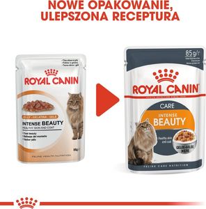 Royal Canin ROYAL CANIN Intense Beauty 24x85g w galaretce karma mokra dla kotów dorosłych, zdrowa skóra, piękna sierść 2