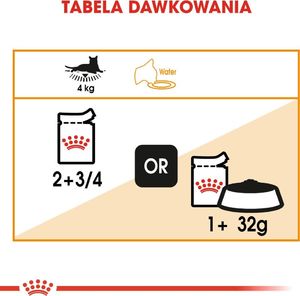 Royal Canin ROYAL CANIN Intense Beauty 24x85g w galaretce karma mokra dla kotów dorosłych, zdrowa skóra, piękna sierść 6