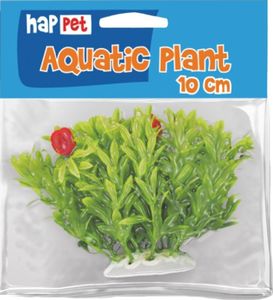 Happet Roślina folia 10cm 1f25 2