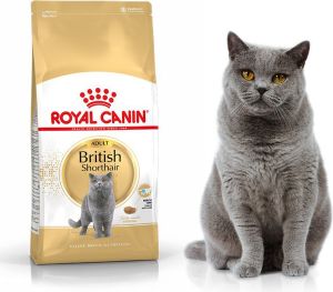 Royal Canin British Shorthair karma sucha dla kotów dorosłych rasy brytyjski krótkowłosy 0.4kg 2