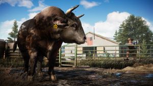 Far Cry 5 PS4 2
