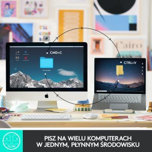 Klawiatura Logitech MX Keys Mini (920-010498) + Brio 100 (960-001585) 4