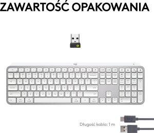 Klawiatura Logitech MX Keys S Grey US (920-011588) + Brio 100 (960-001585) 10