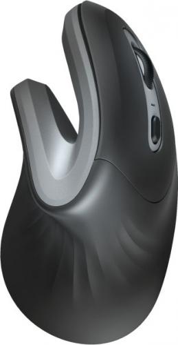 Trust Verro Wireless Ergonomic