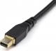 Kabel StarTech DisplayPort Mini - DisplayPort 2m czarny (DP14MDPMM2MB) 4