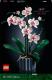 LEGO Icons Expert Orchidea (10311) 1