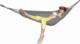 Royokamp  Hamak classic 2 osobowy 200 x 150 cm szary stalowy 2