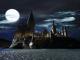Kolekcja LEGO® Harry Potter™ PS4 11