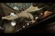 Kolekcja LEGO® Harry Potter™ PS4 3