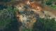 SpellForce 3 Reforced Xbox One 5