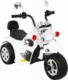 DWM MOTOREK HOT CHOPPER BIAŁY 10