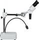 Mikroskop Bresser Biorit ICD CS 10x Stereo (5802520) 2