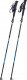 Rockland Kije trekkingowe  DYNAMIC 5