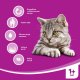Whiskas Adult Sucha karma dla dorosłego kota z wołowiną 14kg 7