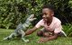 Figurka Mattel Jurassic World Dinozaur Gigantozaur 53 cm (GYC94) 2