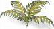 Gamers Grass : Laser Plants - Bracken - Paproć 1
