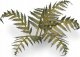 Gamers Grass : Laser Plants - Bracken - Paproć 2