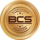 BCS Karta  zbliżeniowy BCS Mifare 13.56 MHz BCS-KZ-M1 3