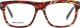 Dsquared2 Ramki do okularów Unisex Dsquared2 DQ5076-55A-53 ( 53 mm) 2