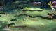 Digimon Survive (PS4) 4