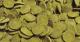 Sera WELS-CHIPS TOREBKA 15g 2