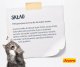 Josera Catelux Adult z kaczką i ziemniakami 10kg (50007753) 6