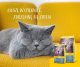 Josera Leger Adult Light 10kg (50007781) 5