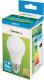 Spectrum LED GLS E27, 230V, 7W, CW (WOJ13899) 2