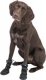 Trixie Walker Active Long, buty, dla psa, S-M, czarne, 2 szt./opak 10