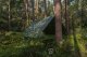 Plandeka Bradas Plandeka kamuflażowa moro CAMOforest 10 x 12m 90g. 3