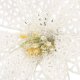 Springos Gwiazda betlejemska, sztuczny kwiat, poinsecja ażurowa, biała z brokatem na klipsie UNIWERSALNY 5