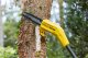 Piła łańcuchowa Stanley  SFMCPS620B-XJ 18 V 20 cm 2