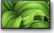 Telewizor Sony KD32W800P LED 32'' HD Ready Android 7