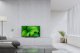 Telewizor Sony KD32W800P LED 32'' HD Ready Android 9