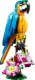 LEGO Creator Egzotyczny papuga (31136) 8