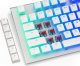 Endorfy PBT Pudding Onyx White Keycaps (EY0E003) 3