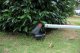 Yard Force 3w1, 12V, 4,0 Ah, 23 cm (YF-LMF24BN) 24