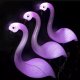 Gardlov Lampa ogrodowa solarna- flaming (21151) 7