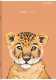 Top 2000 Zeszyt Top 2000 Sweet Animal A5/16k kratka 5